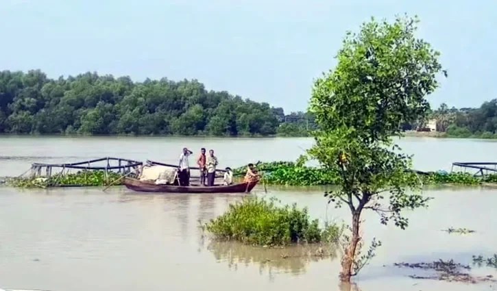 Nadi
