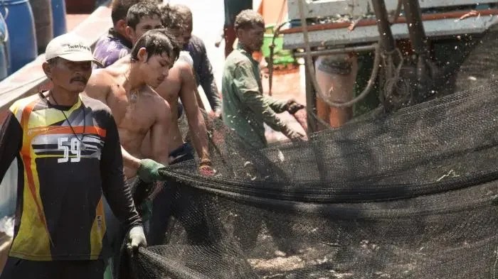 Why Steal a Fish Is Facing Admin Abuse Allegations