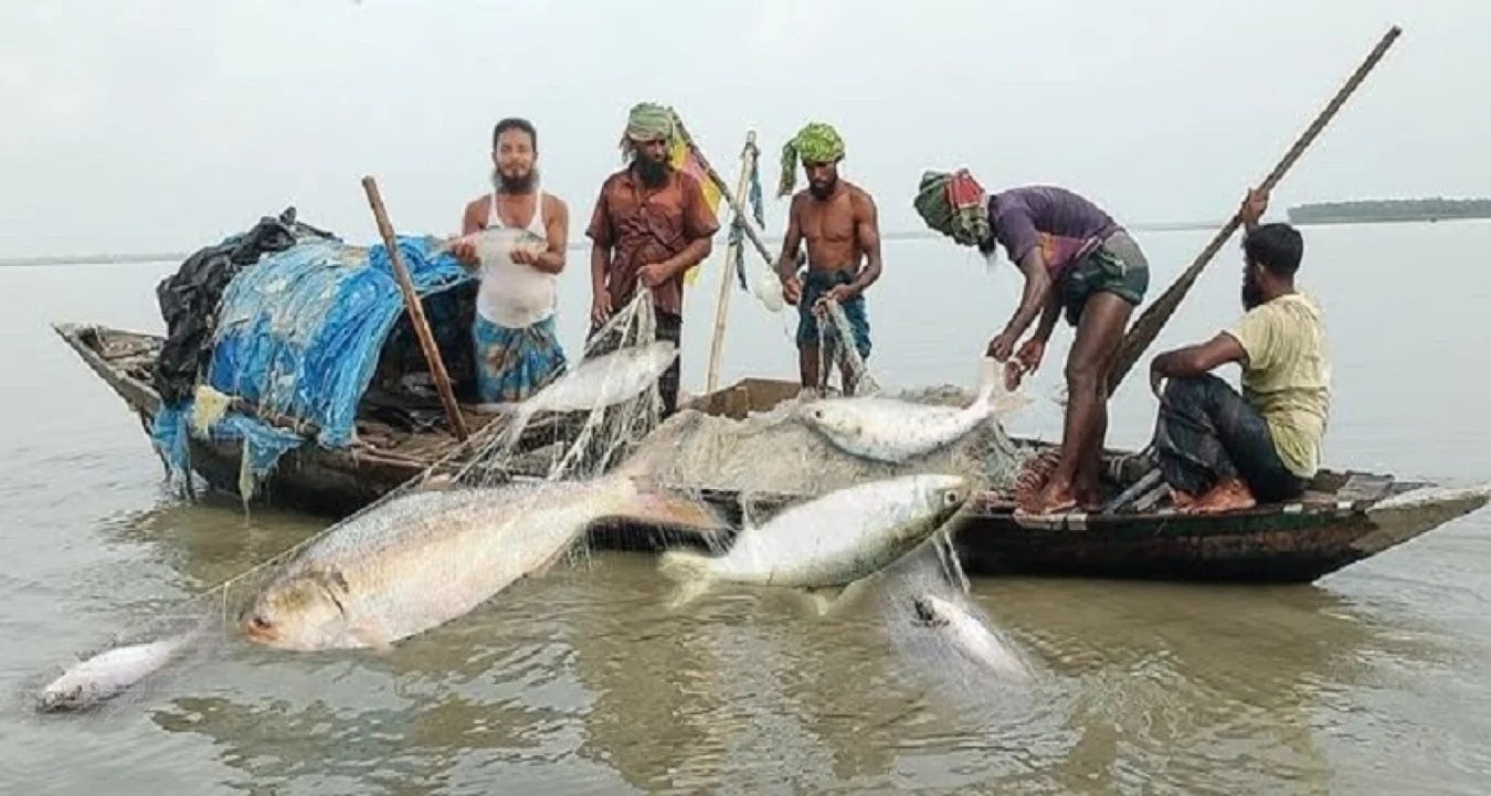 ইলিশ ধরা