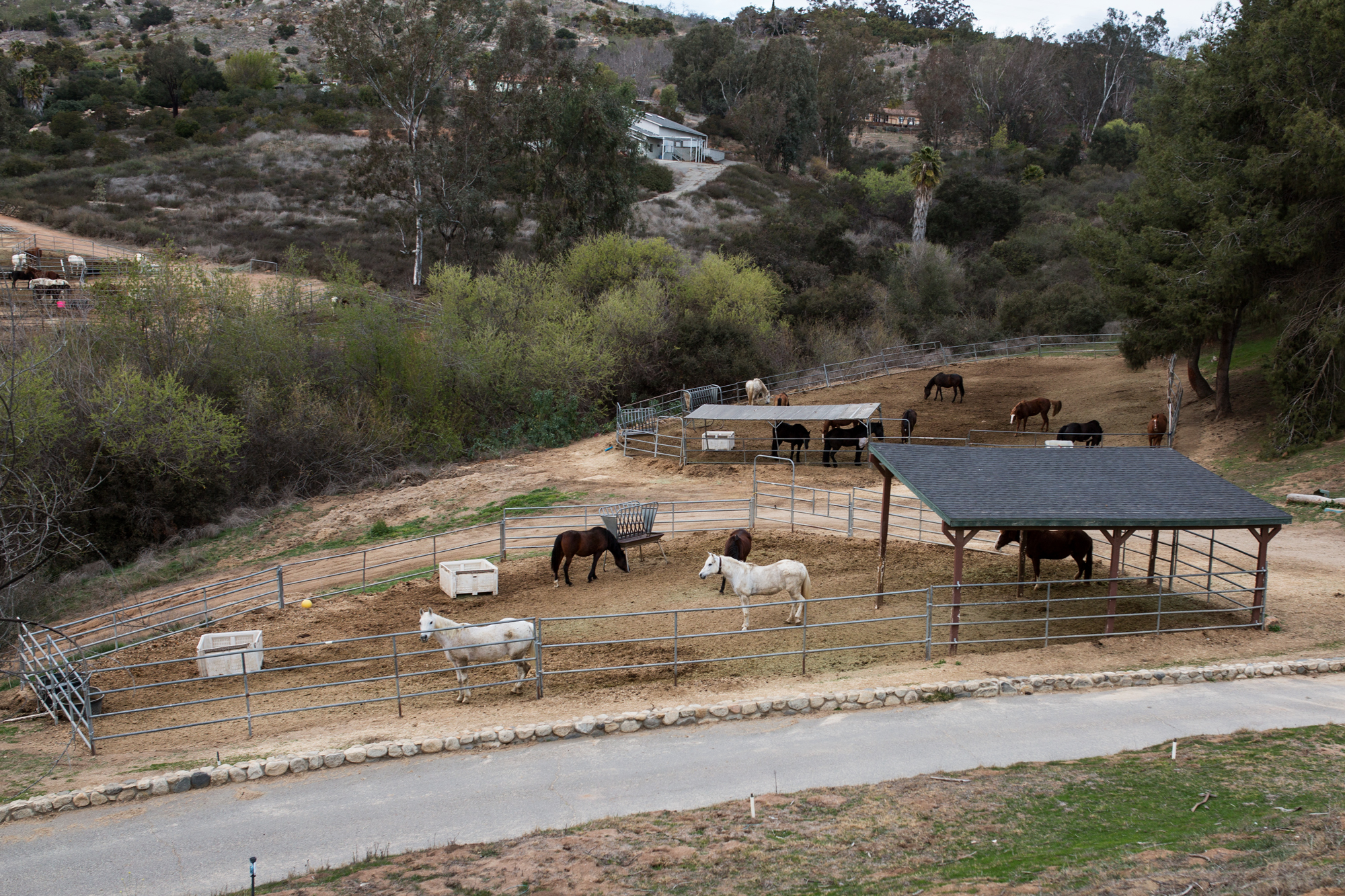 HiCaliber Horse Rescue’s Valley Center property shown on March 2, 2018.