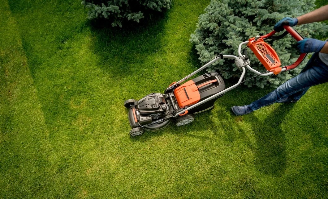 Landscaping