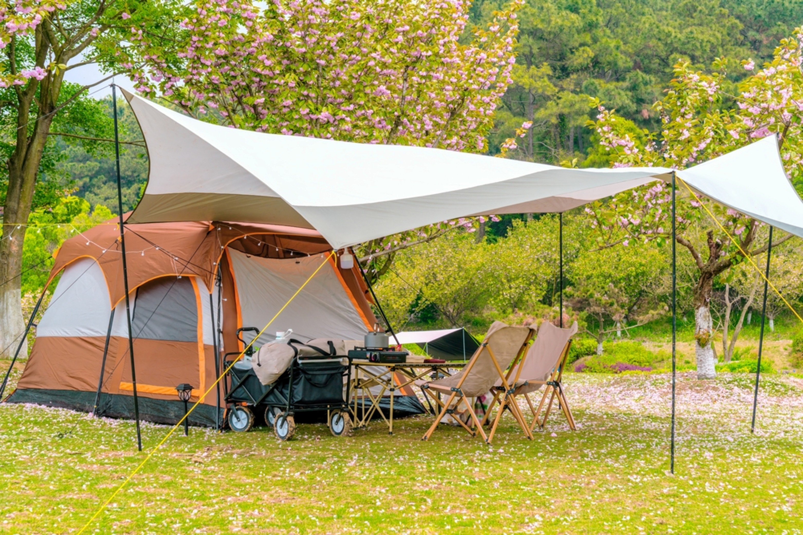 Zi de camping în familie