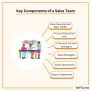 Sales Team Structure And Roles With Templates And Examples