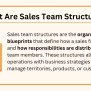 Sales Team Structure And Roles With Templates And Examples