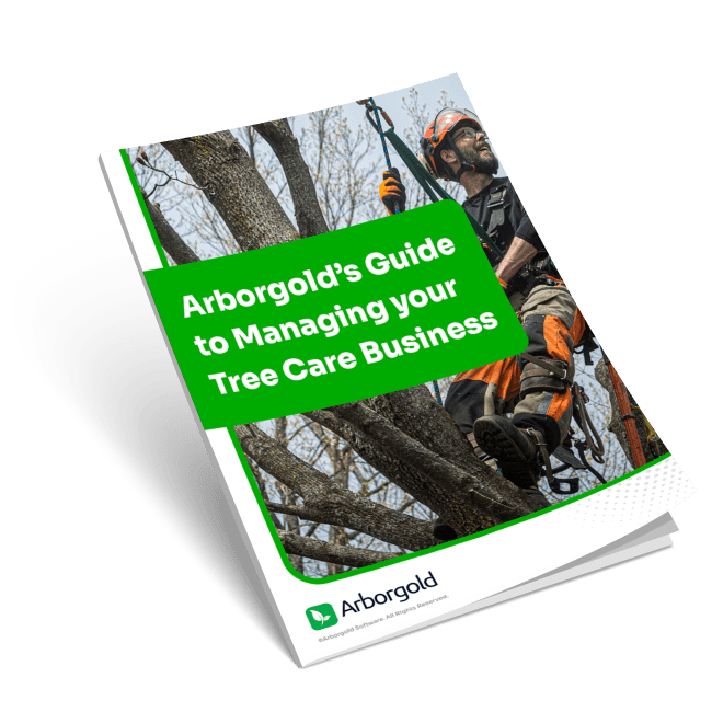 Tree Care Infographic Arbor Operations - Premium Abstract Pattern Gallery - Desktop