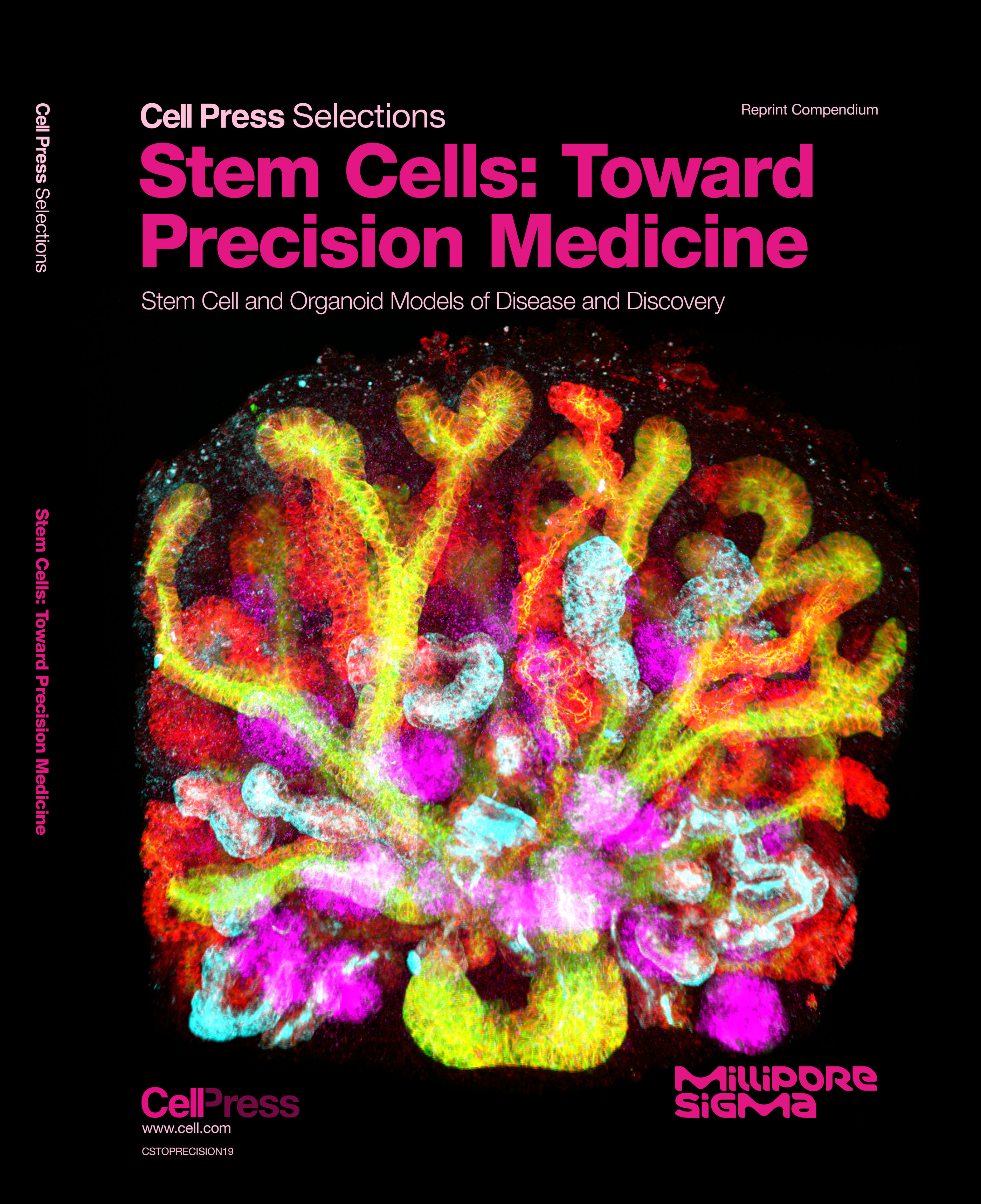 Cell Press Selections Precision Genetics - Creative Colorful Art - Mobile