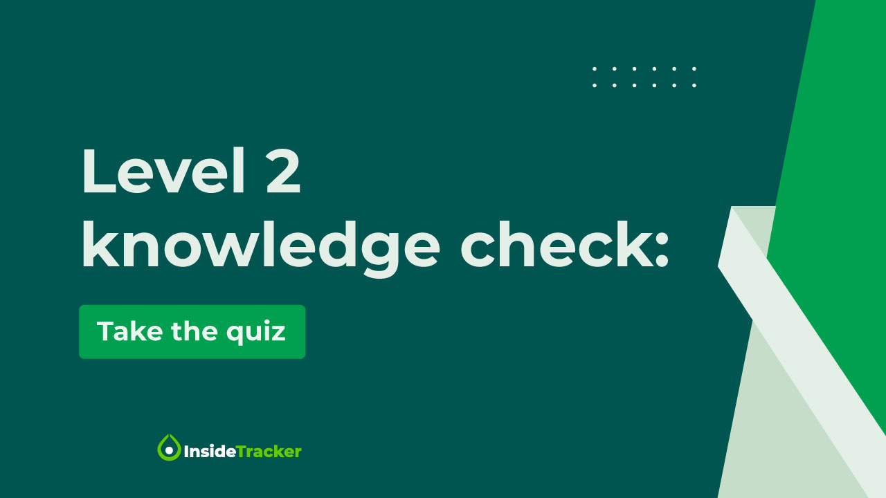 Insidetracker Pro Level I Course - Premium Colorful Illustration Gallery - Full HD