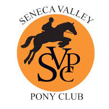 Striderpay Faqs Strider - Dark Wallpapers - High Quality Full HD Collection