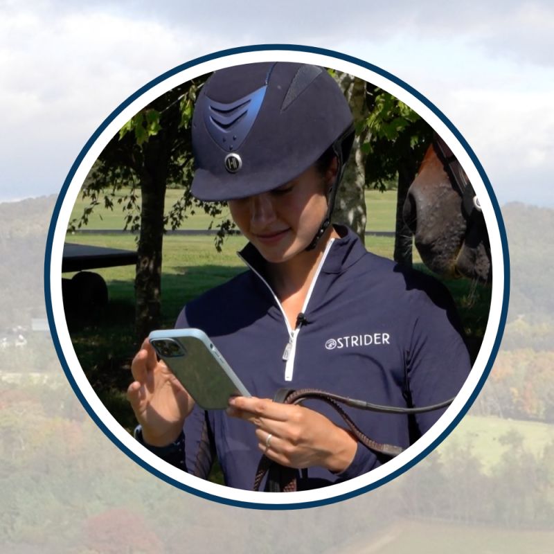 Organizers Strider - Best Abstract Illustrations in Full HD