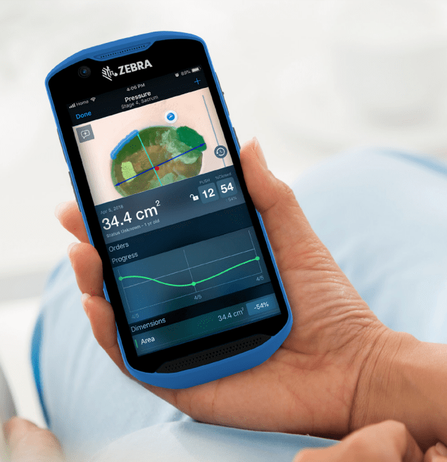 Zebra Swift Zebra Electrical - Mountain Pictures - Stunning Mobile Collection