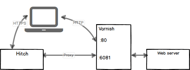 Ocsp Stapling In Hitch - Gradient Image Collection - 8K Quality