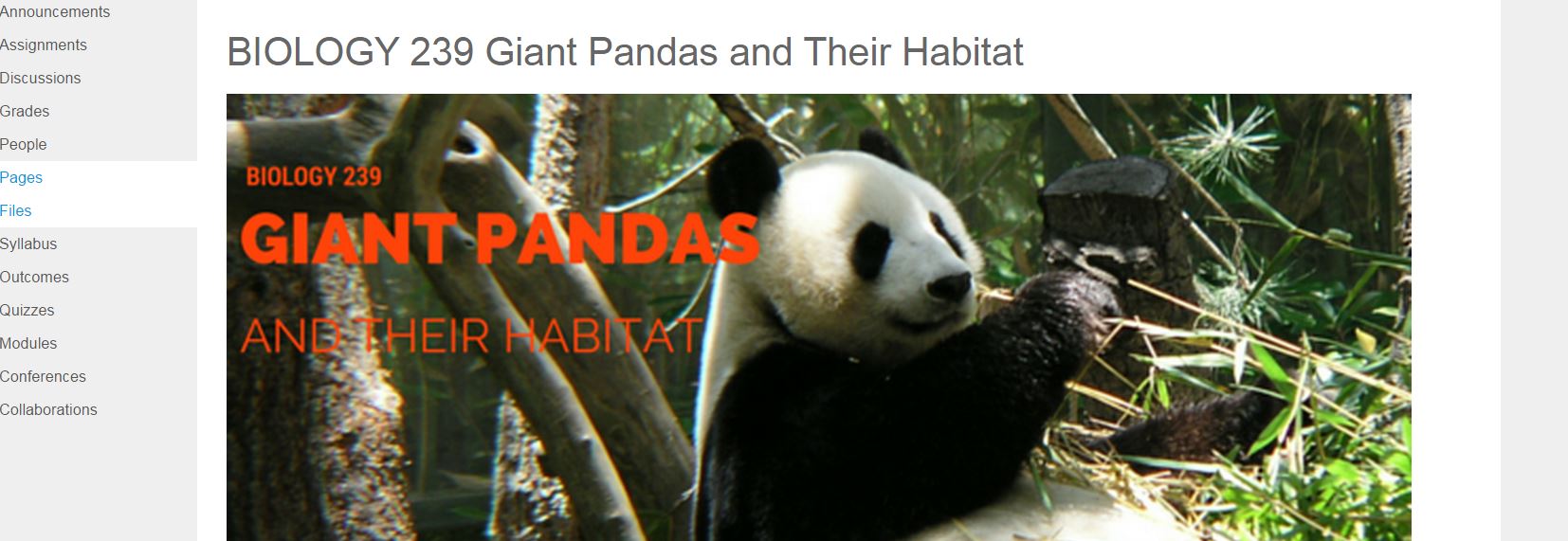 Panda Header Canvas at Penn