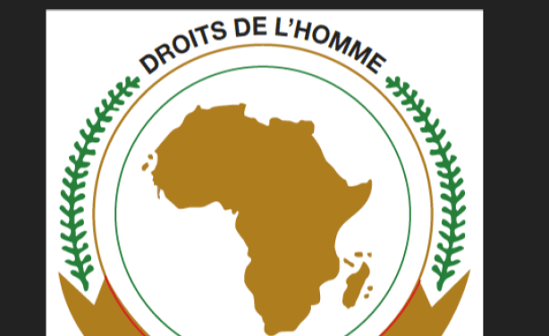 DROITS HUMAINS: la Commission africaine dénonce une « situation inquiétante en Guinée »