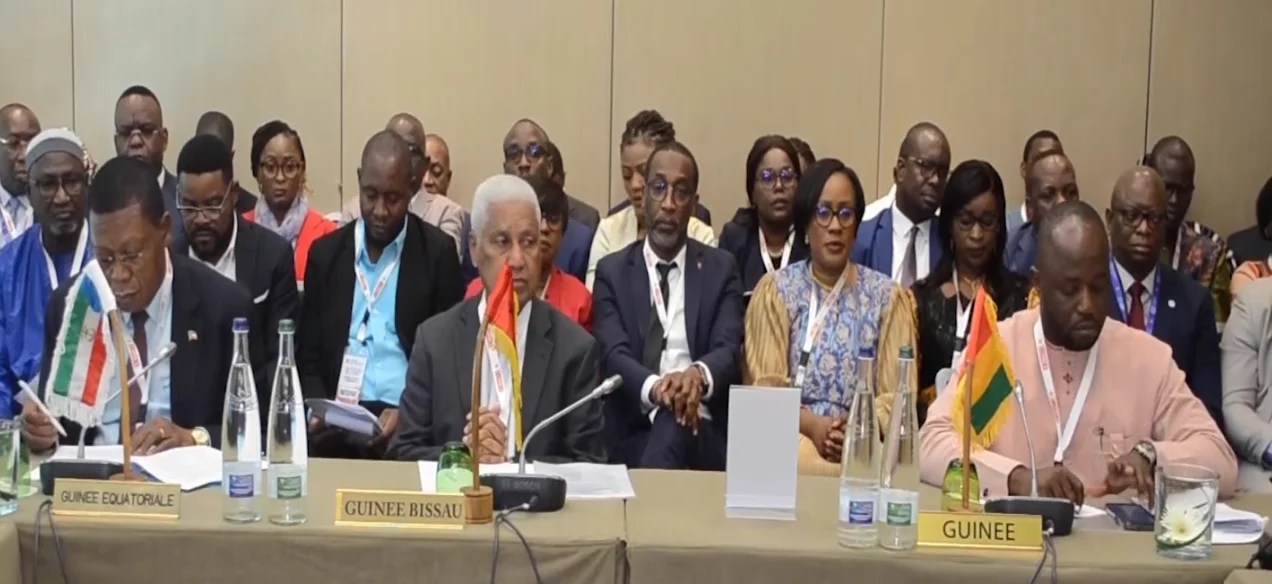 Genève/ 36ème session du conseil des ministres de la CIPRES: la Guinée participe aux travaux