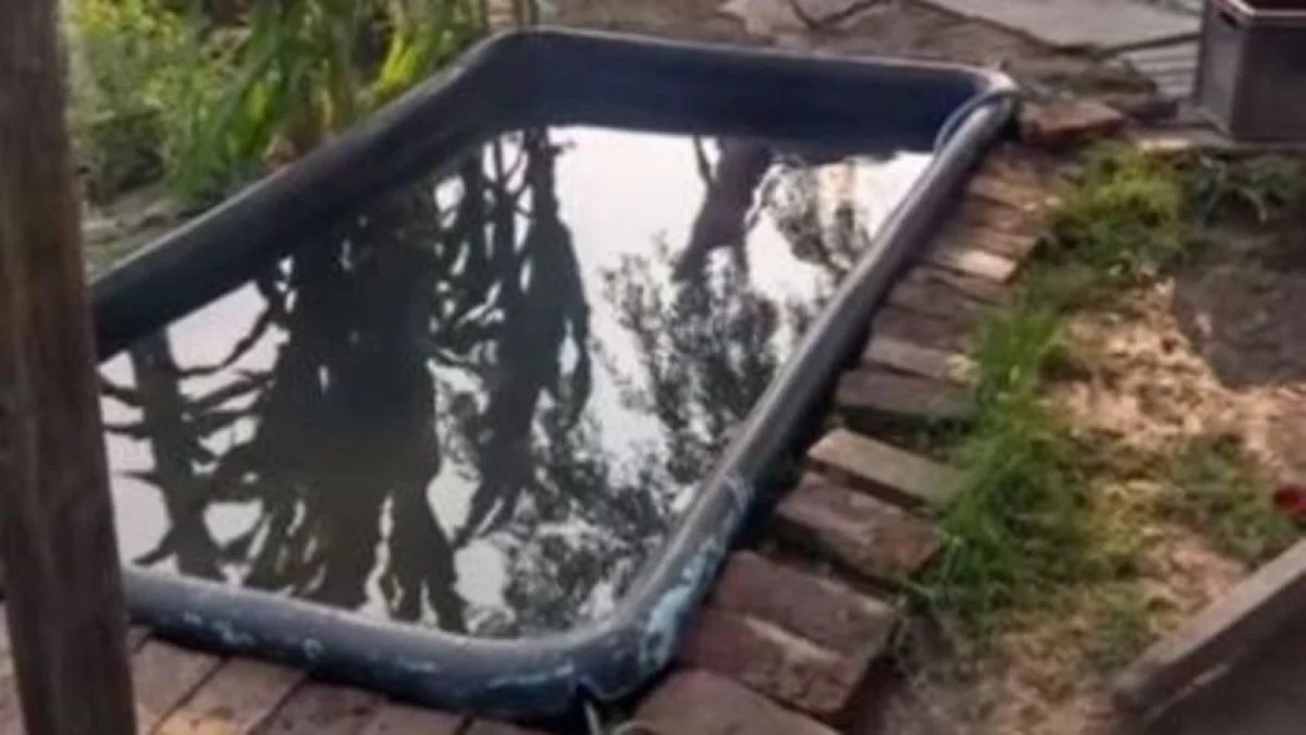 Intentaron ahogar a su hijo de 9 años en una pileta.