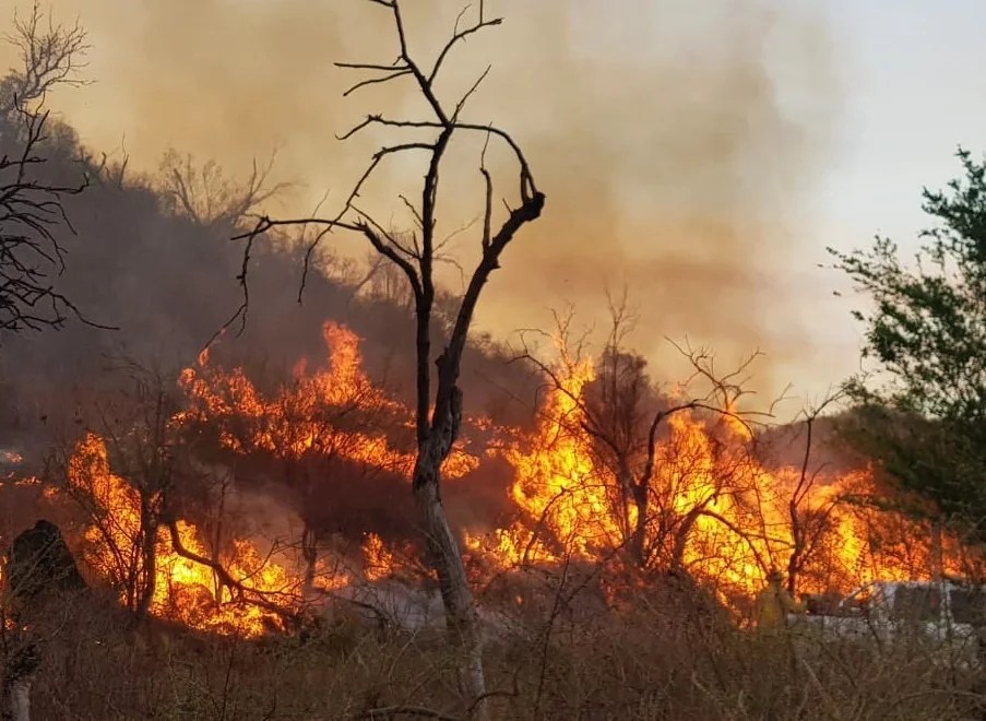 Bomberos se aprestan a combatir el fuego durante esta jornada