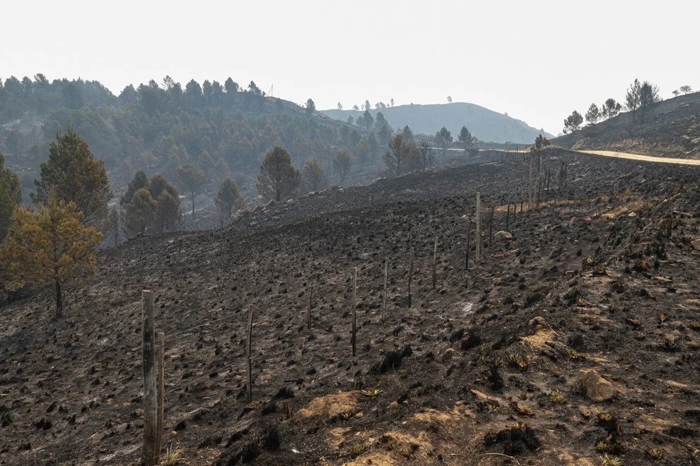 Están contenidos los dos incendios originados ayer
