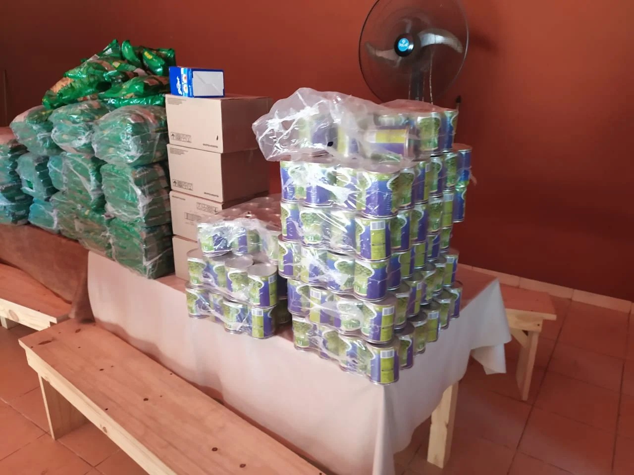 Canals: el martes entregarán módulos de Paicor.