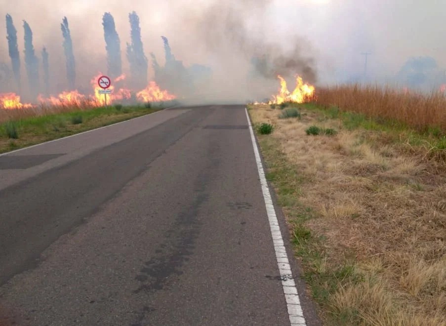 El fuego no se detiene en la región oeste de la provincia