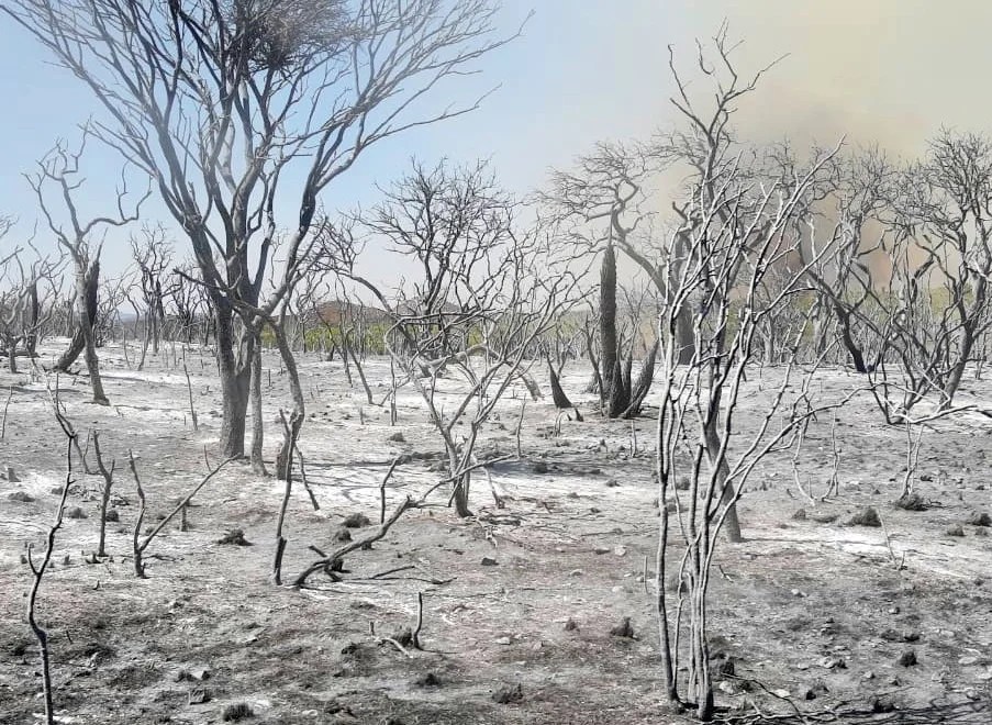 Bomberos trabajan intensamente en el incendio de Salsacate