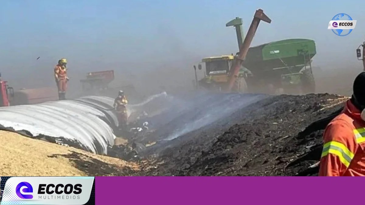 Productores denuncian incendios en campos y silos bolsas
