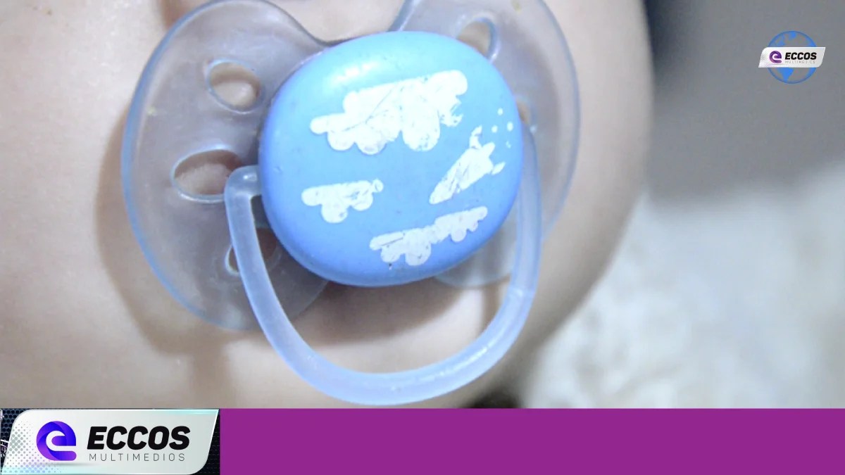 Senaf convoca a familias para acoger a niñas y niños temporariamente