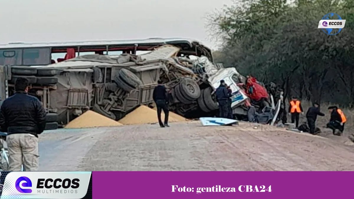 Seis muertos y 11 heridos tras choque frontal entre un colectivo y un camión
