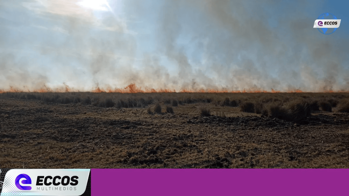 Bomberos contienen tres focos de incendio