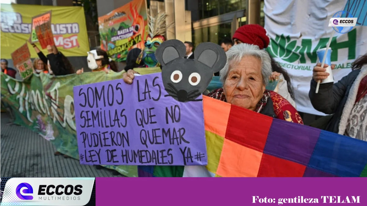 Postergaron el dictamen de la “Ley de humedales”