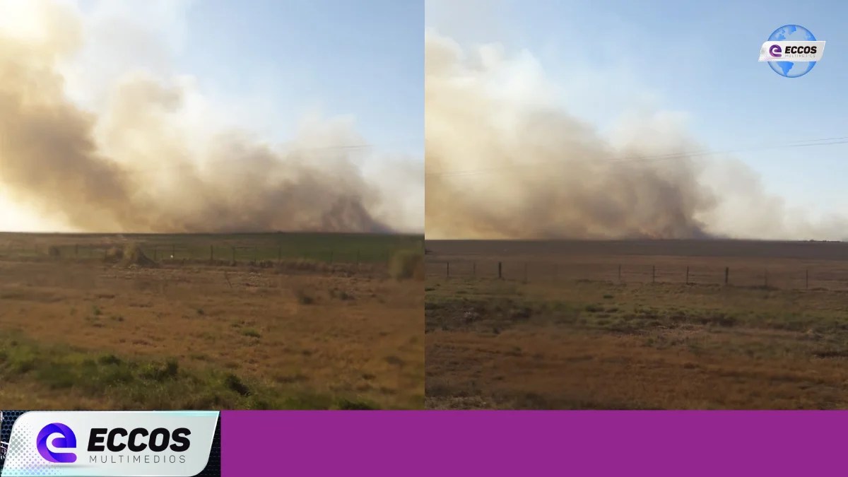 Bomberos trabaja en el incendio de un campo