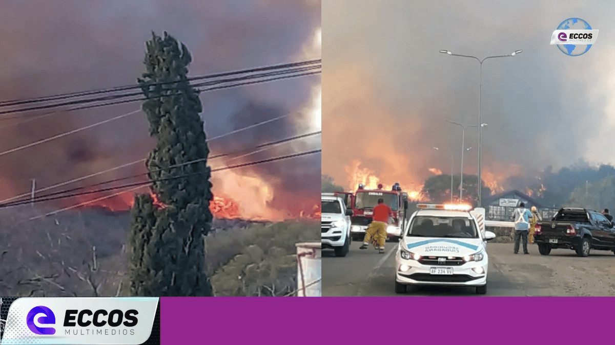 Incendios: estado de las rutas en la provincia