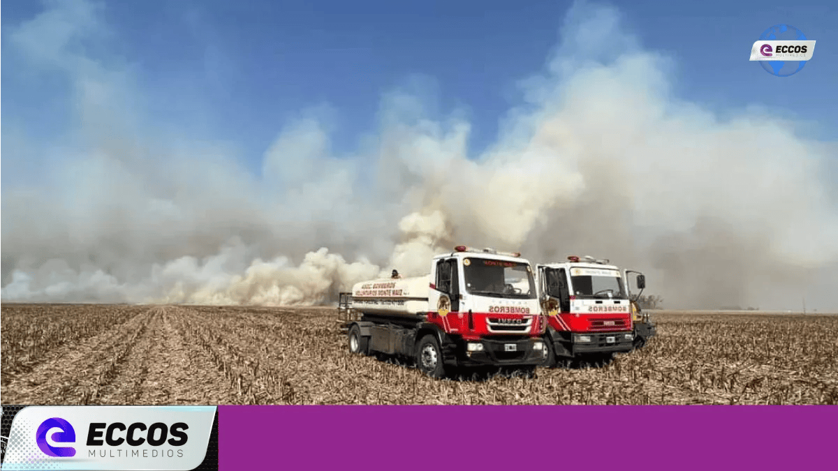Gran Incendio forestal en el ingreso a Colonia Bismarck