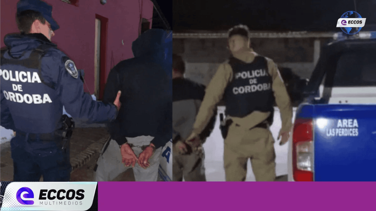 Cuatro detenidos por un robo en Hernando
