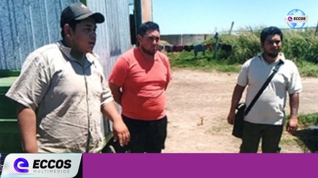 Tres adultos y un menor de edad fueron rescatados de un campo en el que trabajaban en condición de esclavitud. 