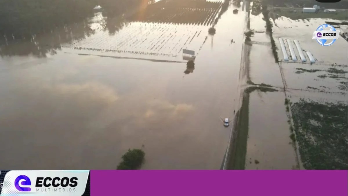 Por el desborde del Rio Cuarto la Ruta 8 sigue cortada