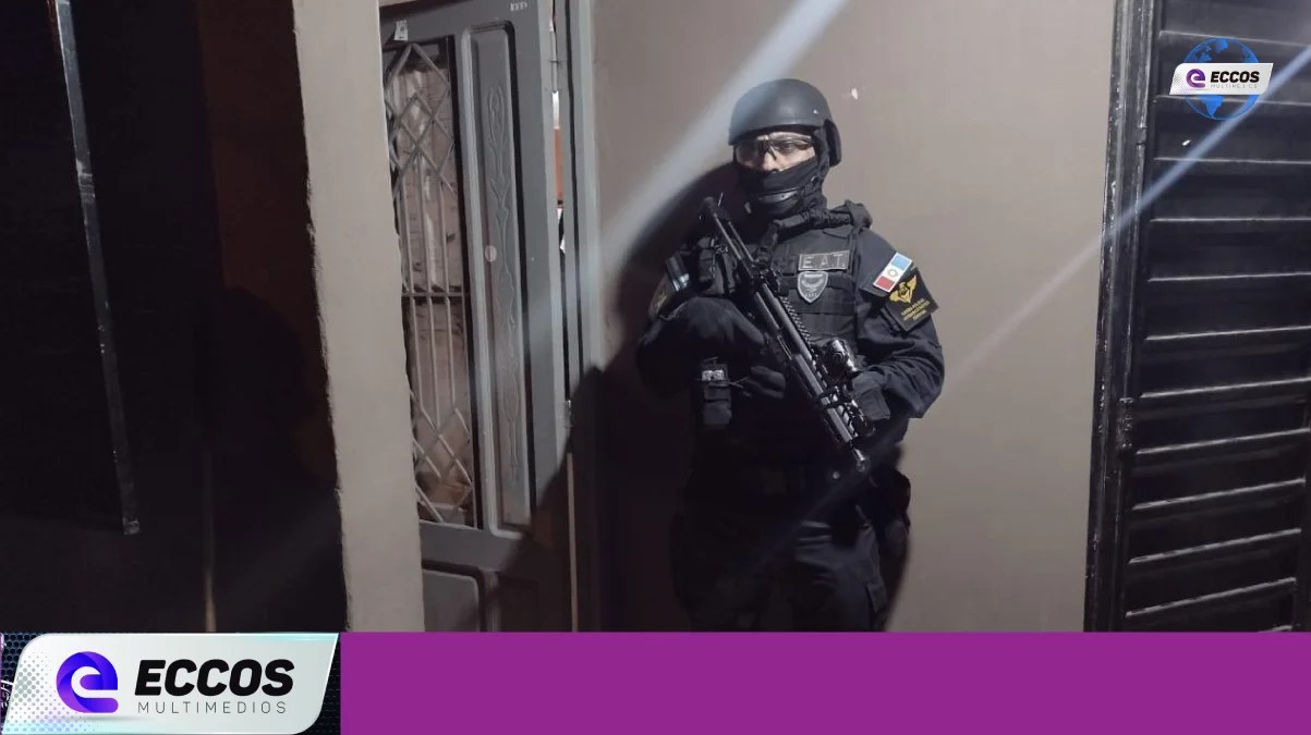 Hernando: un detenido por vender drogas a menores