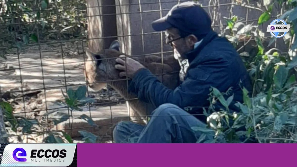 Fue recuperado un puma que estaba en cautiverio en Villa Santa Rosa