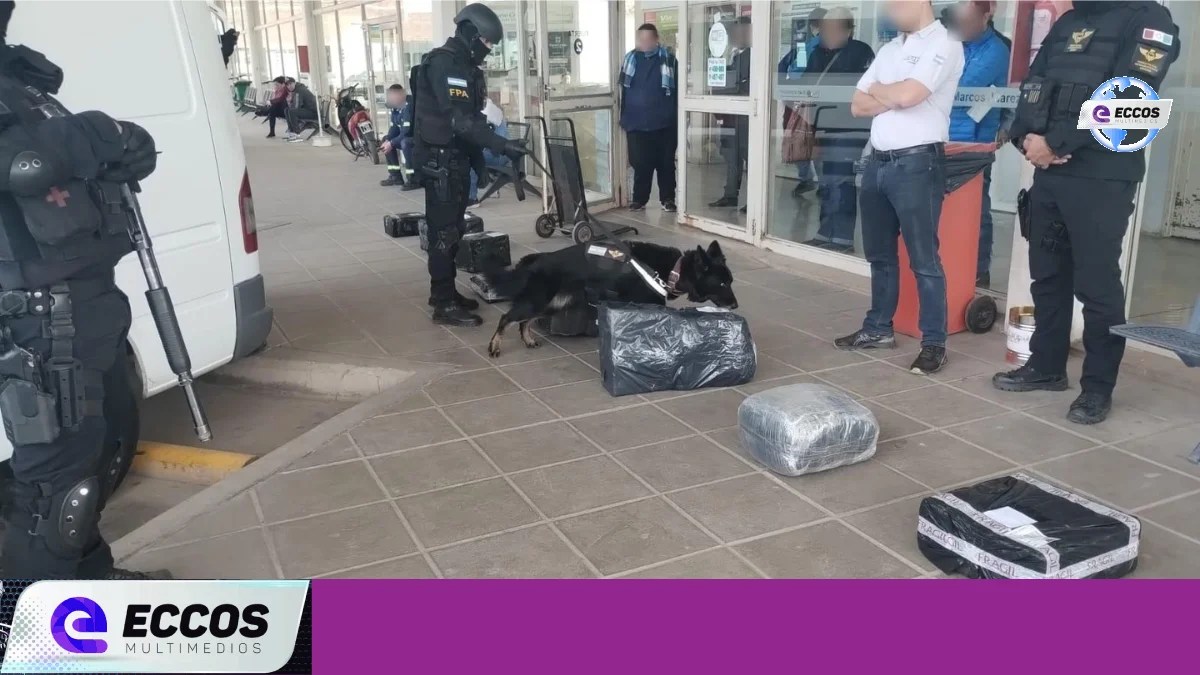 Operativo conjunto FPA-AFIP: Intensos controles en depósitos de encomiendas y terminal de ómnibus