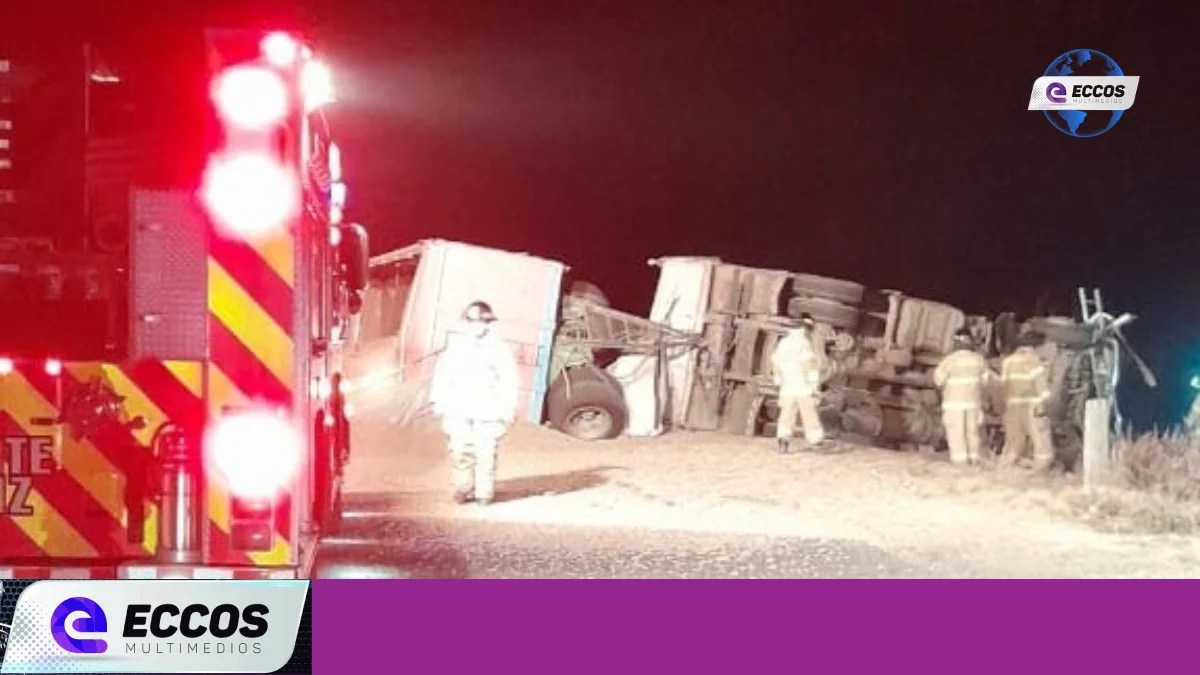 Tragedia en la Ruta 11: un camionero murió tras volcar su vehículo en la curva entre Monte Maíz e Isla Verde