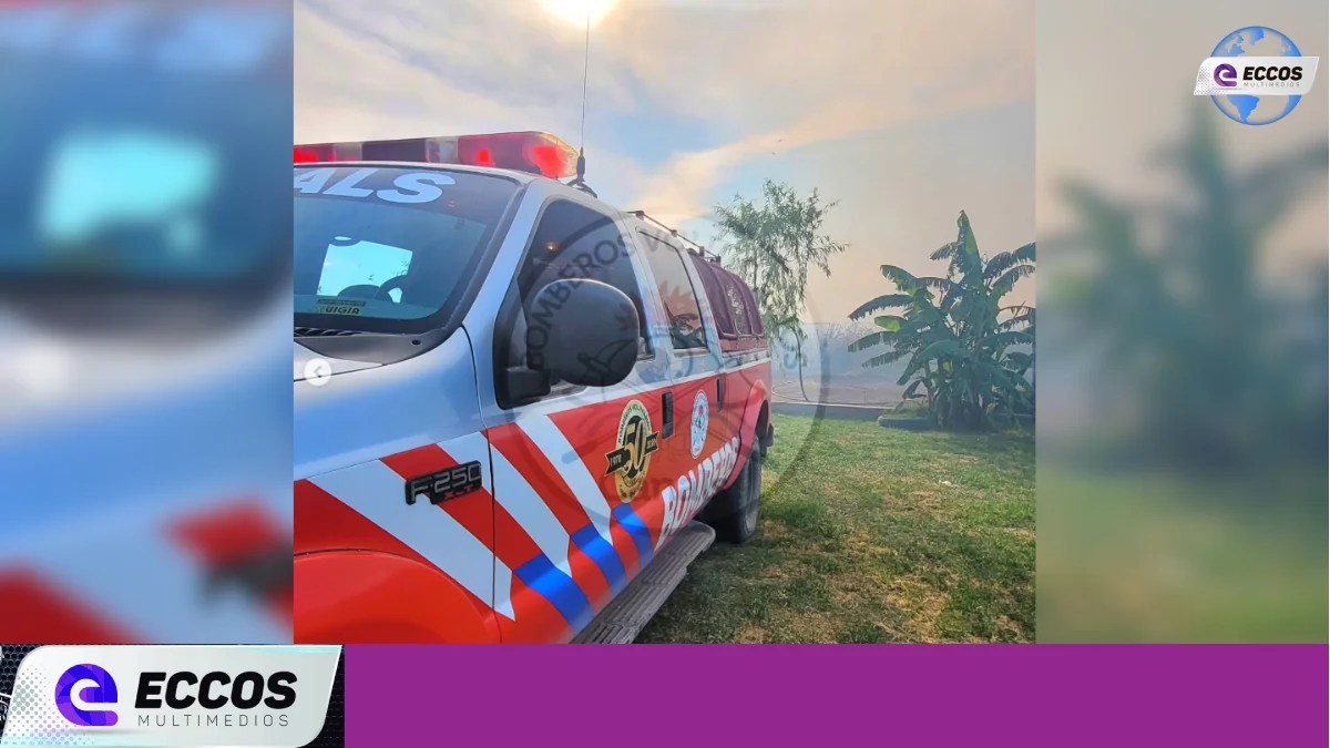 Canals: bomberos controlan un incendio forestal en zona urbana
