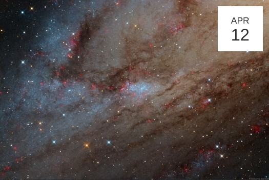 Spring Sundays at Cosmo: Reverberations and Wednesday Band