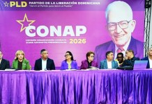 Otra crisis sacude al PLD, siete años después división