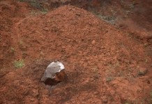 Emidom aún evalúa tecnología y costos para explotar tierras raras en Pedernales