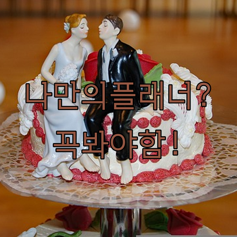 나에게 딱 맞는 웨딩플래너 서비스 고르는 완벽 가이드