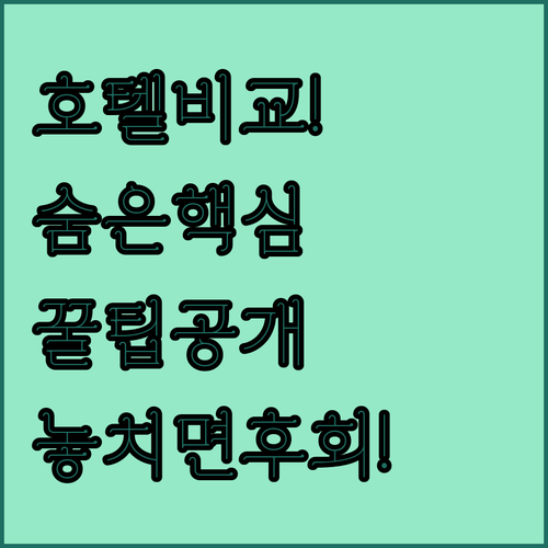 서울 중심부 호텔 비교 분석, 포시즌스호텔 서울과 나인트리 바이 파르나스 명동 2 그리고 뉴블랑 센트럴 명동의 숨겨진 차이점은?