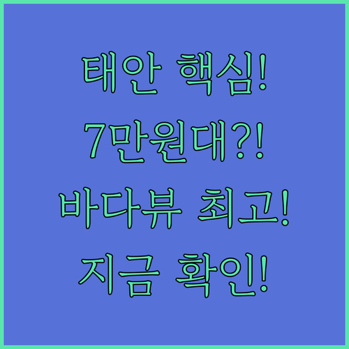 태안 리조트 숨겨진 보석 찾기, 서해안 바다뷰 7만원대부터 예약 가능한 곳은