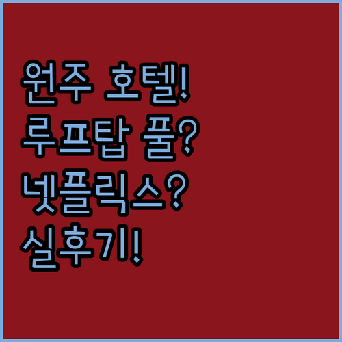 원주 호텔 실제 후기로 본 루프탑 수영장부터 넷플릭스까지