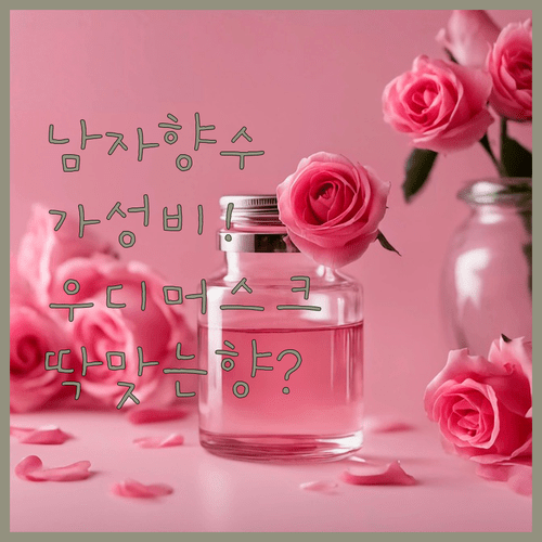 남자향수 가성비 비교! 우디 머스크 향수 4종 중 딱 맞는 향은?