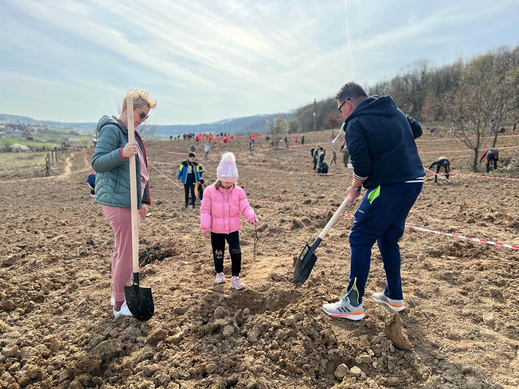 Foto | Bihorul planteaza! Sute de voluntari au participat sâmbătă, 16 martie, la o acțiune de plantare de pomi în satul Betfia