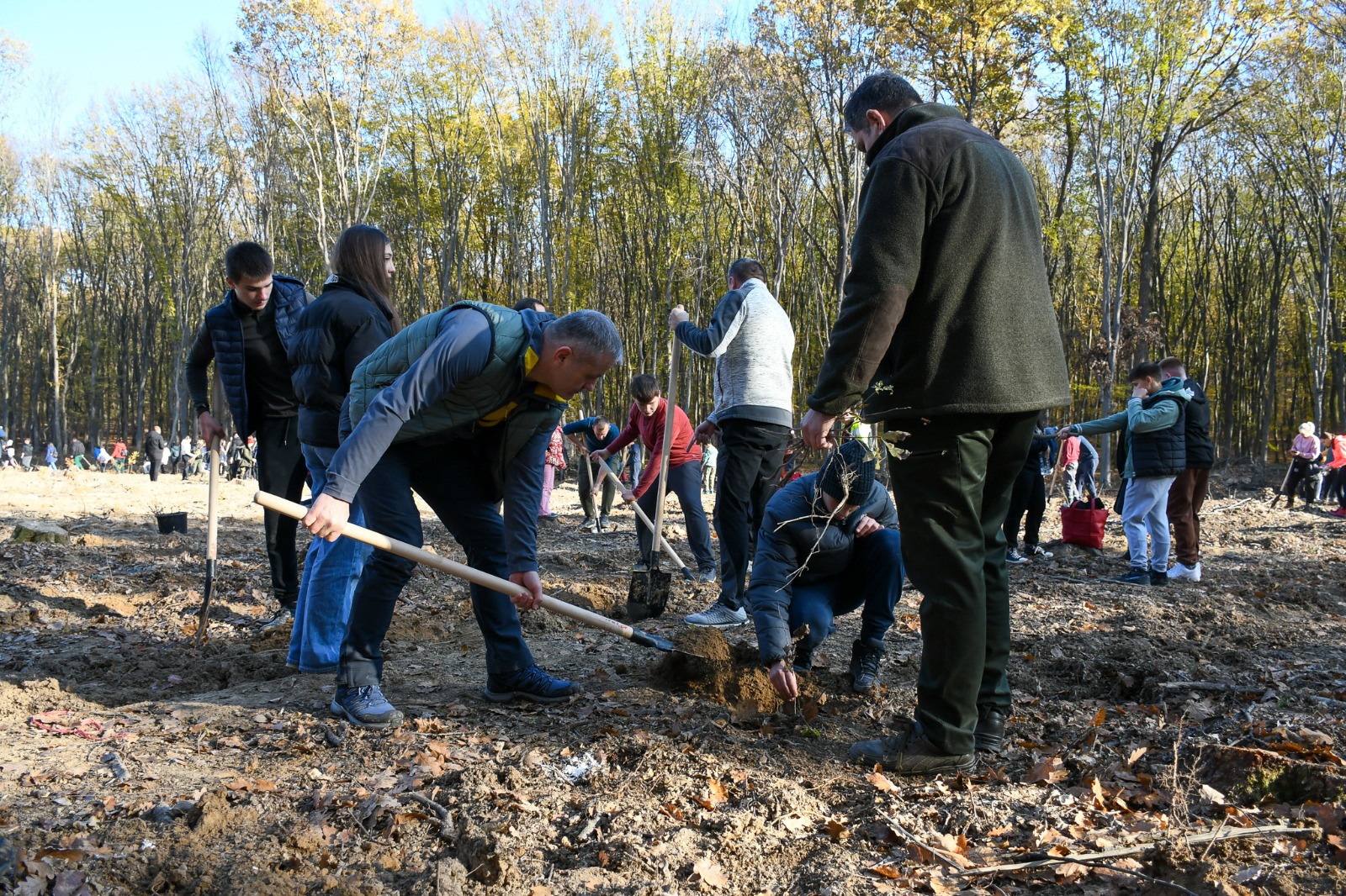 Bihorul planteaza! Sambata au avut loc 2 acțiuni de plantare în localitățile Apateu (comuna Nojorid) și Valea lui Mihai